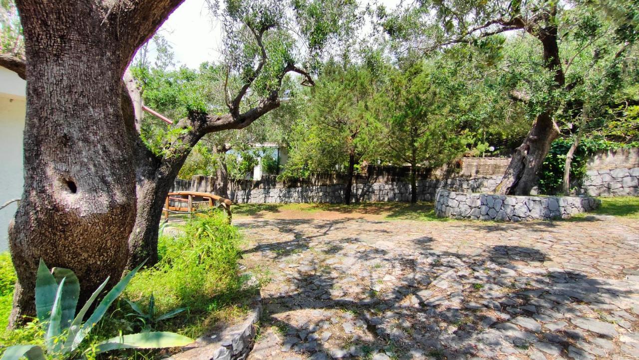 Villa Irma Marina di Camerota Exterior photo