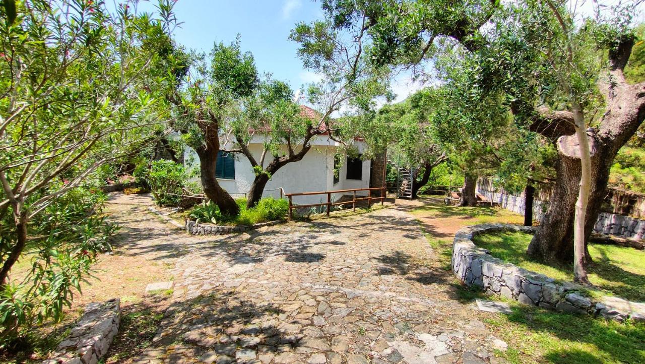 Villa Irma Marina di Camerota Exterior photo
