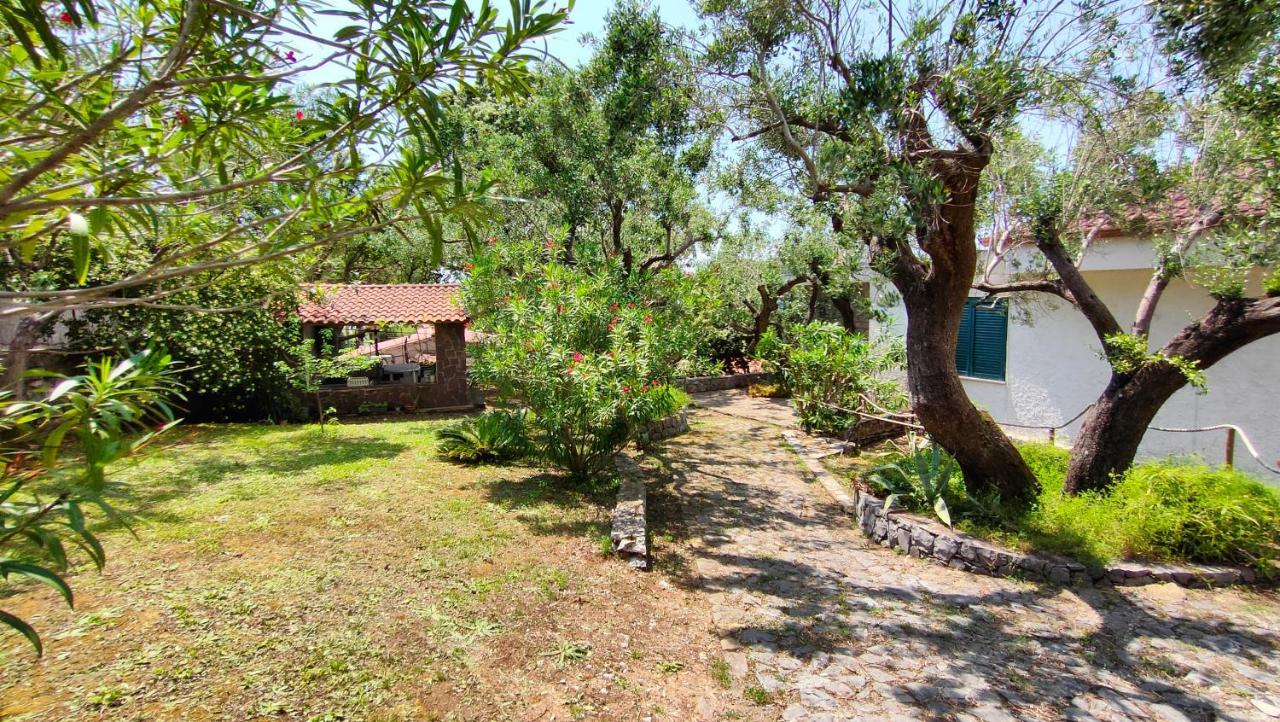 Villa Irma Marina di Camerota Exterior photo