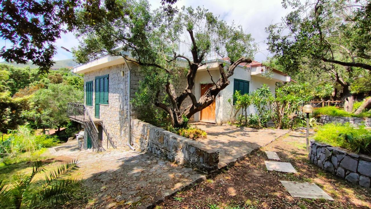 Villa Irma Marina di Camerota Exterior photo